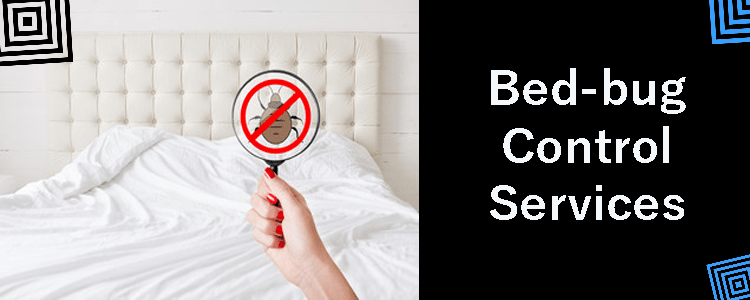 Bed bug Control Service