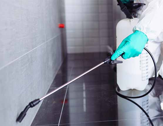 pest control services in piara waters