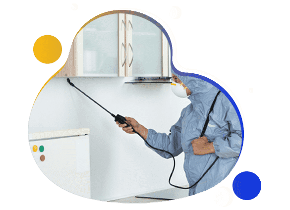 Same Day Pest Control Services at low cost